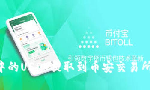 如何将TP钱包中的USDT提取到币安交易所：详细操作指南