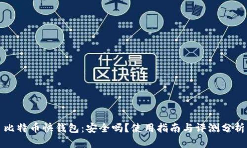 比特币快钱包：安全吗？使用指南与评测分析