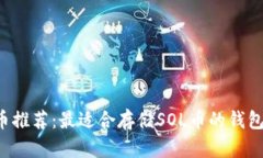 SOL币推荐：最适合存储S