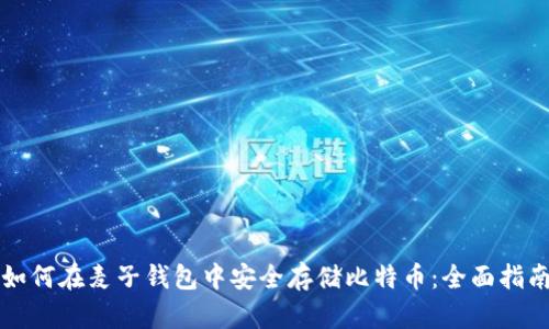 如何在麦子钱包中安全存储比特币：全面指南
