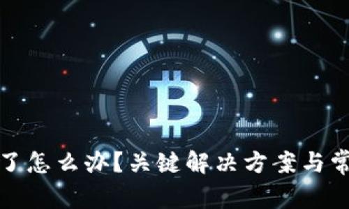 TP钱包币少了怎么办？关键解决方案与常见问题解答
