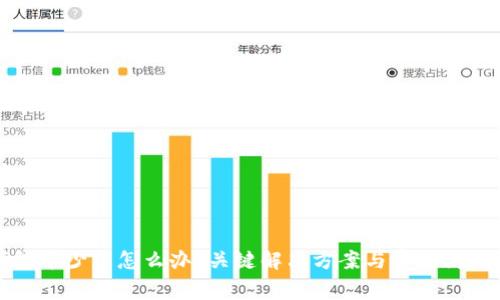 TP钱包币少了怎么办？关键解决方案与常见问题解答