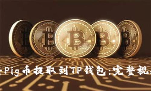 如何将Pig币提取到TP钱包：完整视频教程