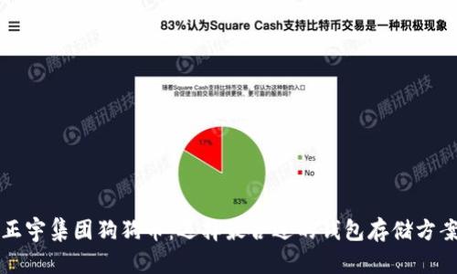 正宇集团狗狗币：选择最合适的钱包存储方案