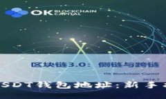 如何查询USDT钱包地址：新
