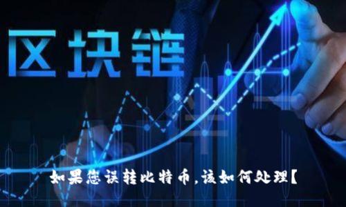 如果您误转比特币，该如何处理？