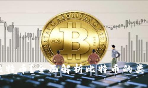 什么是比特币？全面解析比特币的类型与功能