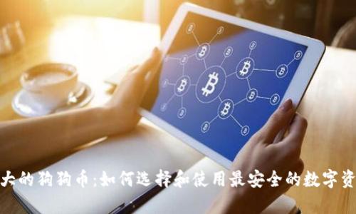 全球最大的狗狗币：如何选择和使用最安全的数字资产存储